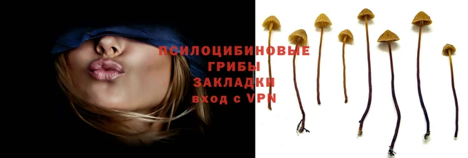 ешки Алзамай