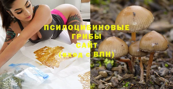 мескалин Алексеевка