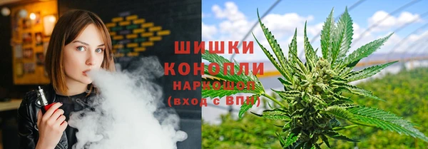 ешки Алзамай