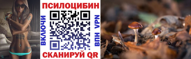 ссылка на мегу зеркало  Сухой Лог  Псилоцибиновые грибы мухоморы 